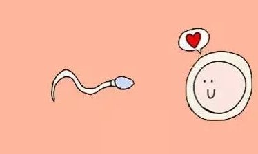 在河北的私立生殖中心做试管婴儿安全吗？费用是不是很贵？