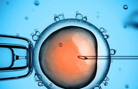 三代试管婴儿移植前要做好哪些准备？6大调理方法助你提高成功率