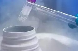 输卵管堵塞和试管成功率无关，女性年龄是影响因素之一