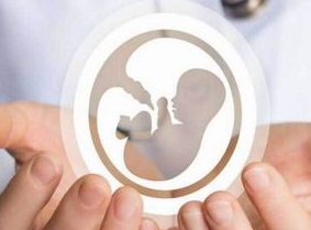 螃蟹影响试管婴儿移植吗？能不能吃蟹黄包？