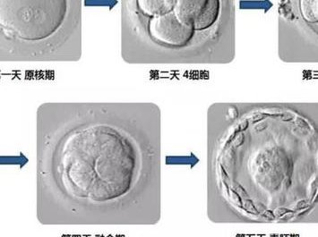 2026年想去安达市做试管婴儿需要准备哪些事？详细收费明细一览